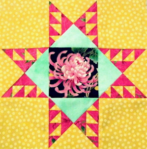 Not Your Grandmother`s Feathered Star -NEW!!!