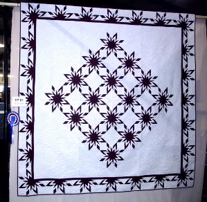 Cosmic Cousins Wins First Place at Quilts UK 2006