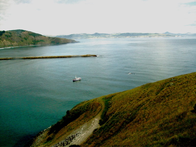 View from Taiaroa Heads