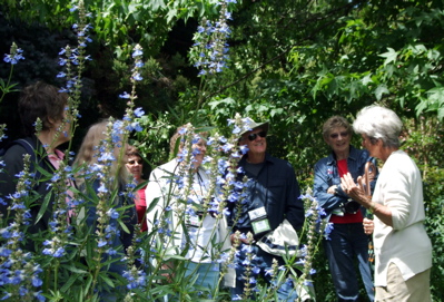 Bev McConnell's passion for gardens is quite evident