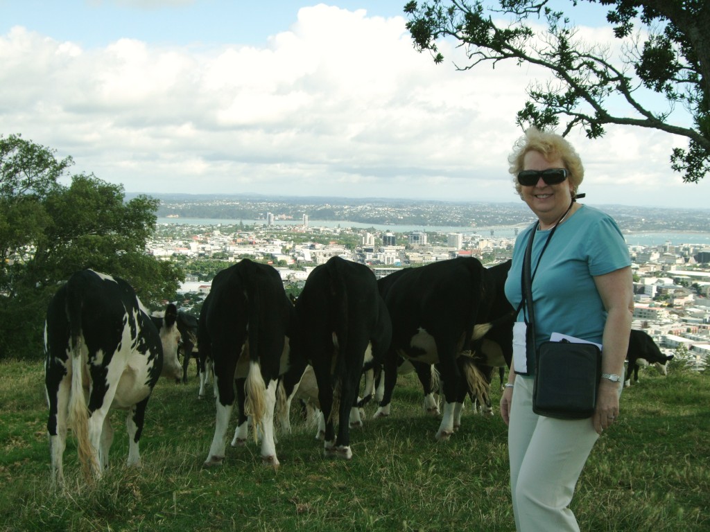 We were joined by a herd of cows...