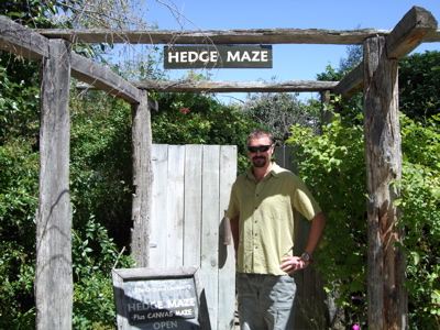 Steve checking out the Hedge Maze