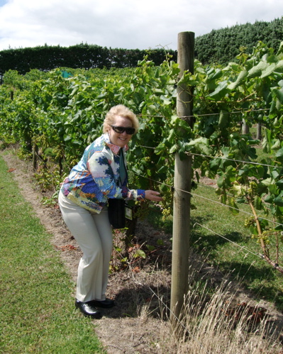 Just checking out the vines